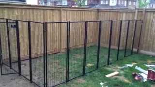 Backyard Renovation Building the Dog Fence part 2