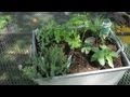 How To Build A Useable Herb Garden Garden Space