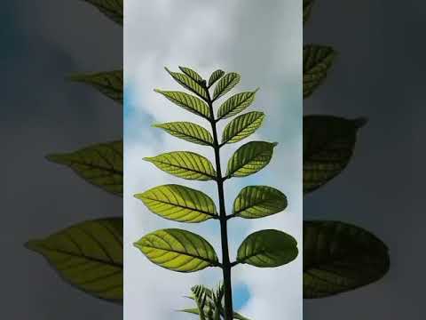 before after moody !! instagram trends !! status video #reels #photography #instagram #gns