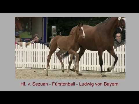 Hf v Sezuan x Fuerstenball