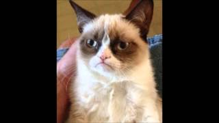 Soulwax - Much Against Everyone&#39;s Advice (a bit harder version)