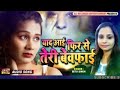 Dil Sheeshe Jaisa Mera Jisme Tha Tera Basera याद आई फिर से तेरी बे�
