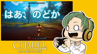 シタデル：永炎の魔法と古の城塞！実況プレイ②
