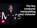Do Gut Microbes Control Your Personality Kathleen McAuliffe TED