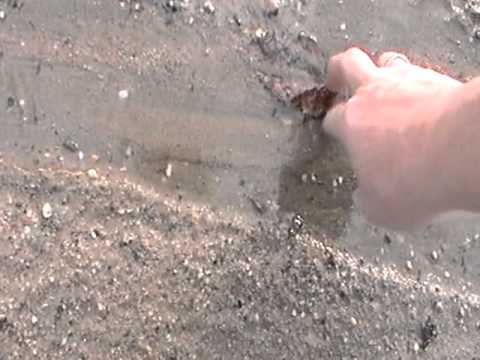 Nancy Today: Watching the melt waters create their own little rivers ASMR