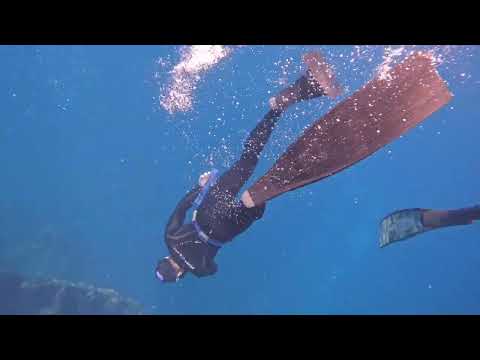 The Pressure Project Freediving Course