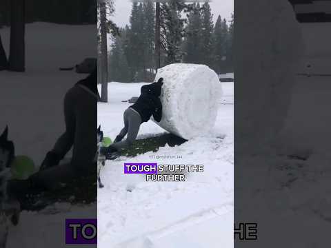 Snowball: The Art of Rolling! #facts #unbelievable #fun