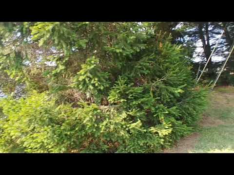 WHAT ARE YOU DOING? -UPS Customer Service Center,  Lancaster, PA. 6-22-20