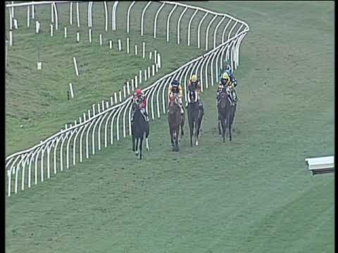 Galoppo 17/02/2018 - 4ª corsa