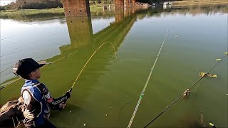 Pescaria de corvinas no pilar da ponte do Rio turvo o cardume tava lá técnica infalível 