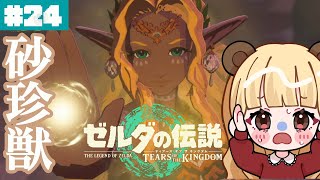最高に謎が深まる龍の泪を見てしまいました……#24【ゼルダの伝説 ティアーズ オブ ザ キングダム】