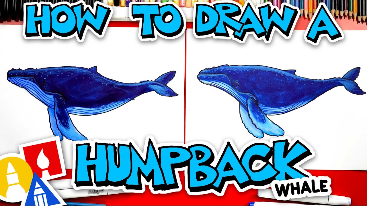 How To Draw A Humpback Whale