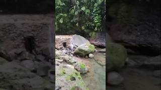 Download lagu Sudah merasa paling bener #foryou #strory #shorts #status #motivasi #inspirasi #katabijak #storywa mp3 Download lagu Sudah merasa paling bener #foryou #strory #shorts #status #motivasi #inspirasi #katabijak #storywa mp3