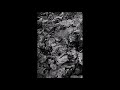Scraplord S T EP 2018 Full Album Grind Hardcore