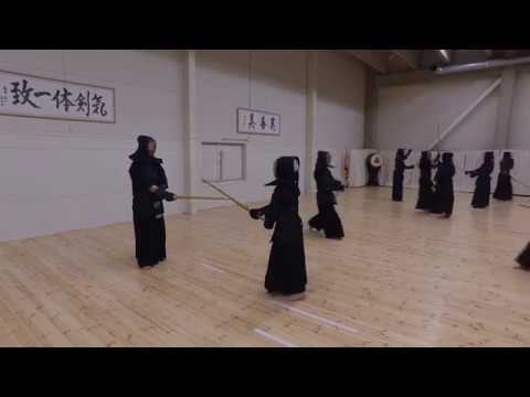 Kendo maajoukkuerinki 20180128 (4K 25fps)