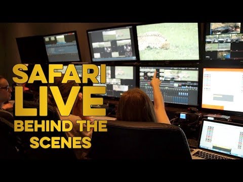 Behind the scenes with #SafariLIVE!