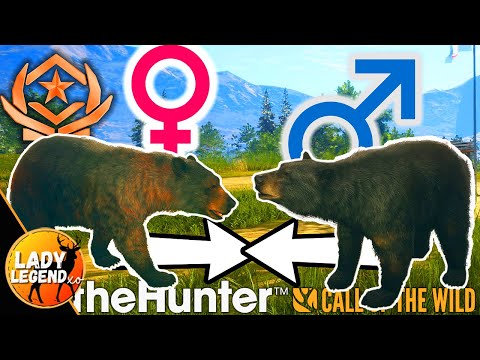 SWAP FEMALES with MALES, STACKING & Other Black Bear Tips! - Call of the Wild