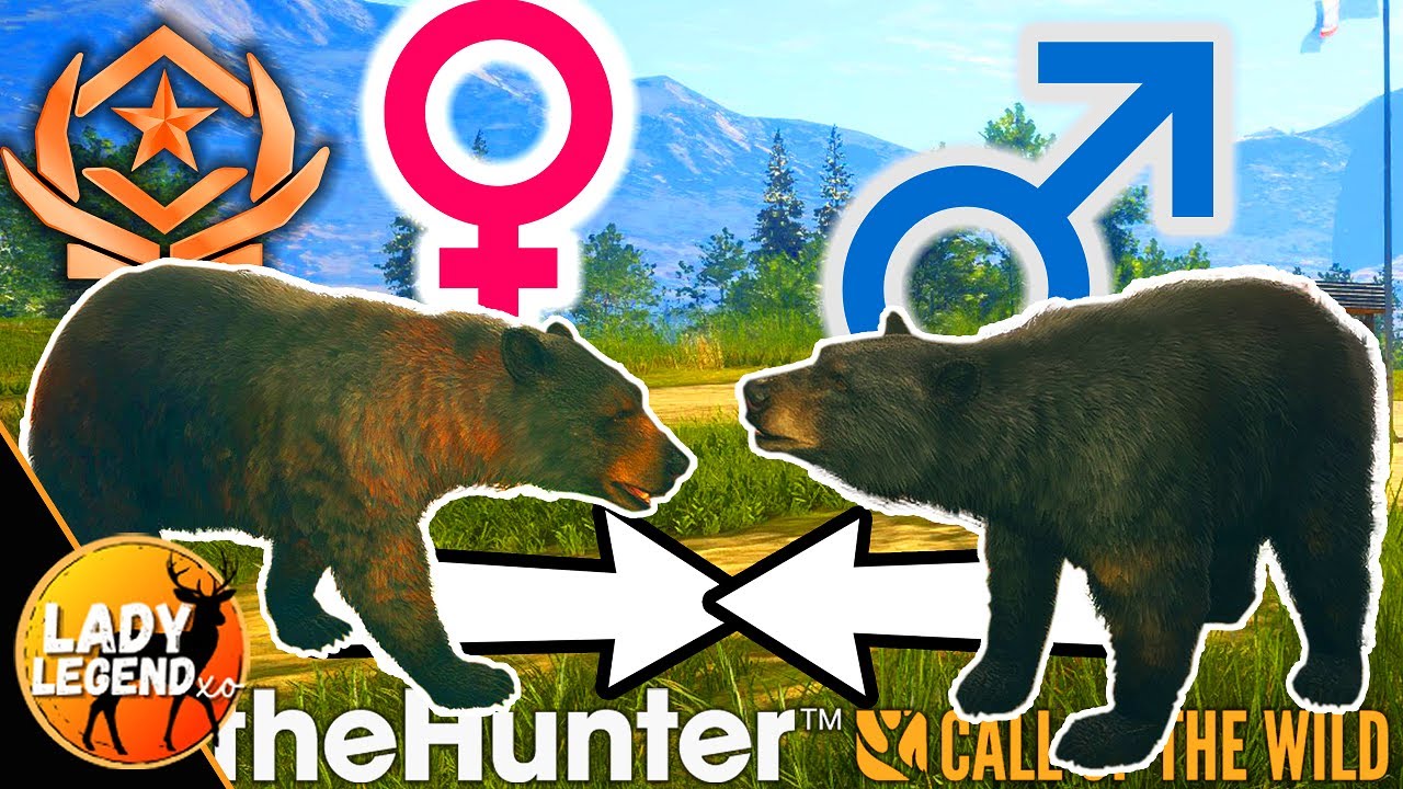 SWAP FEMALES with MALES, STACKING & Other Black Bear Tips! - Call of the Wild