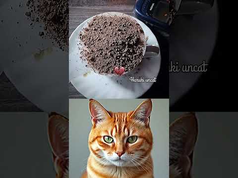 You Won’t Believe This"😄 #cat #funny #memes #ternding