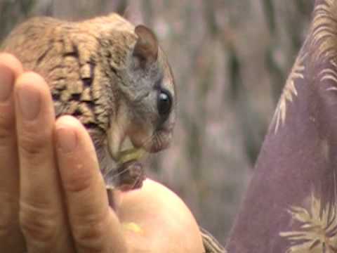 download lagu mp3 mp4 Steve Kroschel Biography, download lagu Steve Kroschel Biography gratis, unduh video klip Steve Kroschel Biography