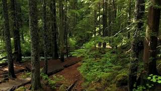 Download lagu January 22nd, 2021 mp3 Download lagu January 22nd, 2021 mp3