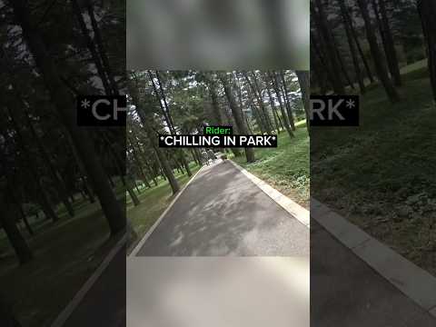 Biker Saves Dog From Wild Dog's...