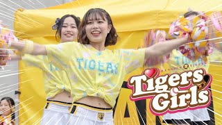 《プロ野球 チアリーダー》阪神タイガース　タイガースガールズ　Tigers Girls　2023　cheerleader  ⑦ 《BraveTV》