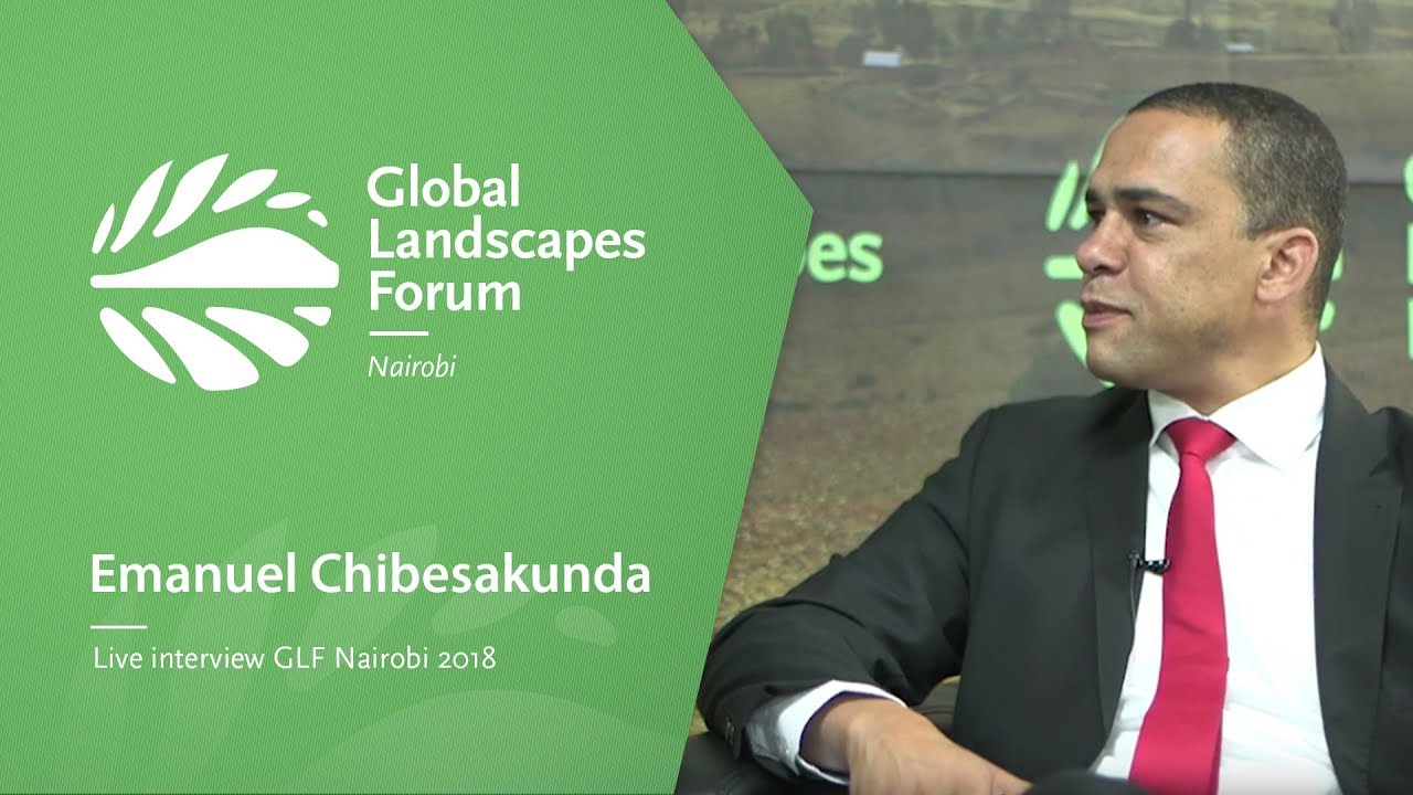 GLF Interview with Emanuel Chibesakunda - YouTube