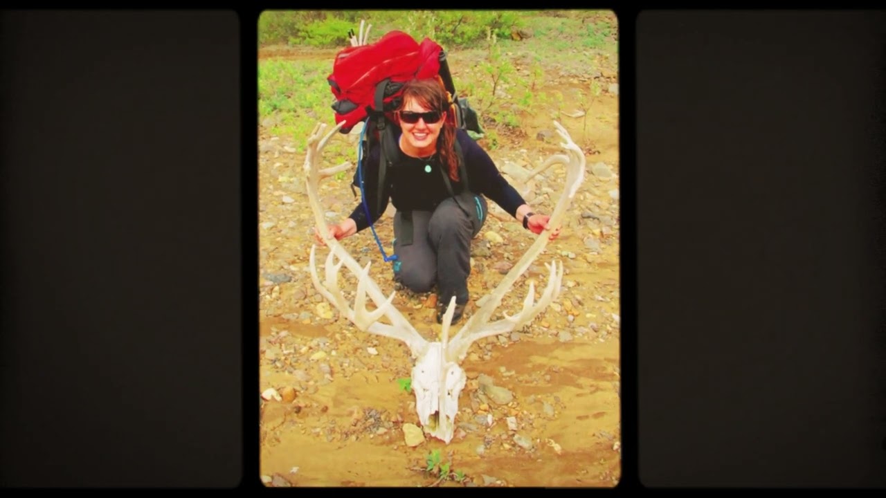 Northern Sun Promotional