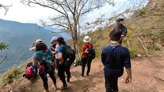 苗栗泰安🐯虎山，明知山有虎，偏向虎山行，此🐯不好惹。