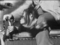 Andys Animal Alphabet 1950