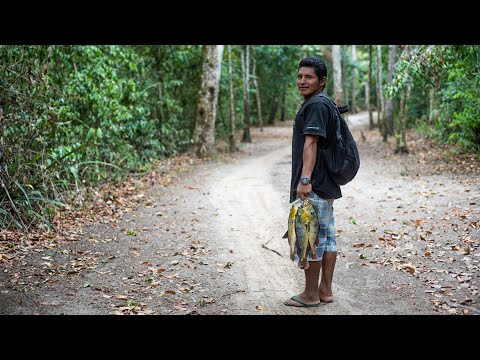 Wildlife conservation by Indigenous People in Guyana
