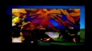 The Shamen - Re Evolution - Space Time