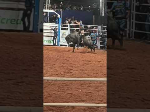 Rodeio de Juranda PR