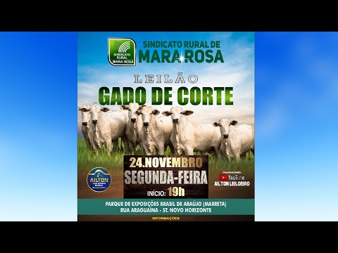 LEILÃO ESPECIAL DE GADO DE CORTE - SINDICATO RURAL DE MARA ROSA 24/11/2025