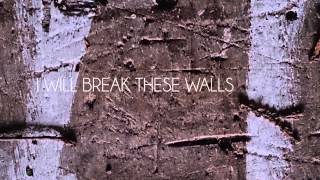 Audio Adam - If it takes you home (Lyric Video)