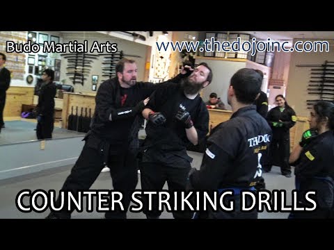 Bujutsu Blocks and Striking Drills - The Dojo Martial Arts