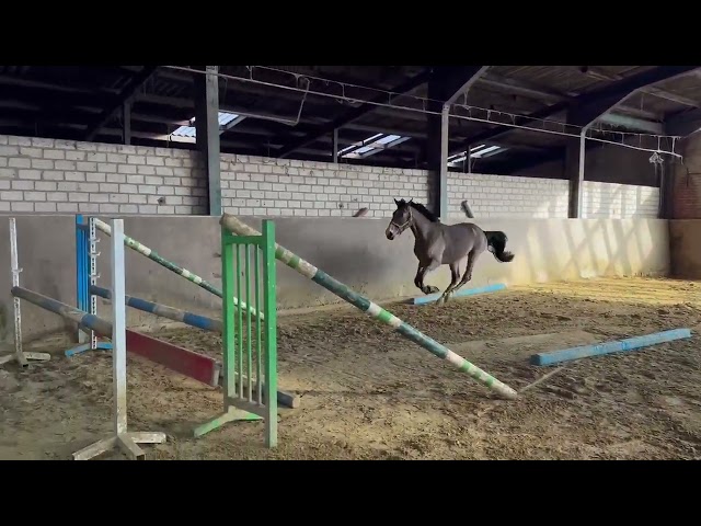Home jumping movie Thiago Incrivel