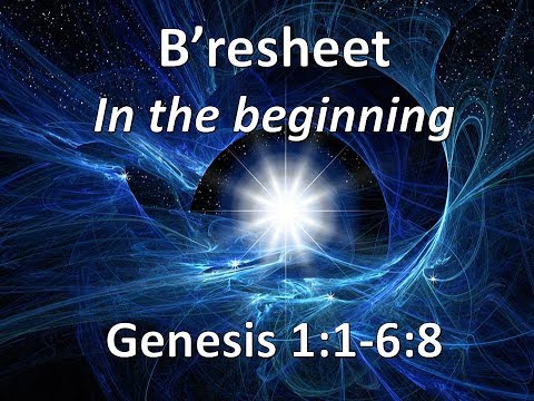 Weekly Torah Portion: B'resheet