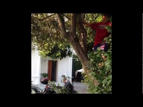 se i film fossero reali:RAMBO ep1