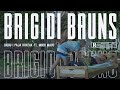 Bigru I Paja Kratak Brigidi Bauns Ft Mikri Maus OFFICIAL VIDEO