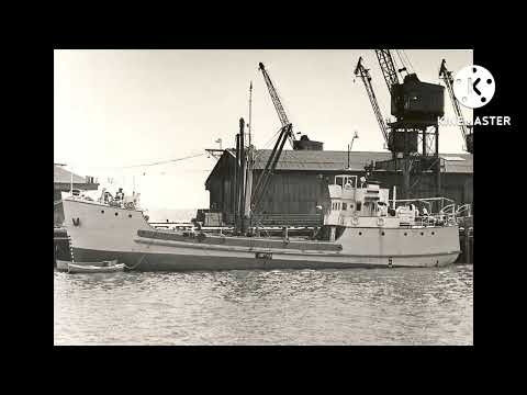 Koi Botr (Cover) - JJNS (Kirikitr Tradi Lyrics version) 2022