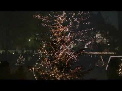 ２００７　クリスマスツリーイリュミネーション