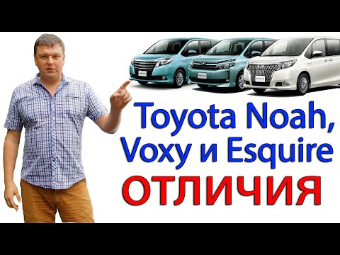 Вокси, Ной и Эсквайр. Чем отличаются минивэны Тойота?