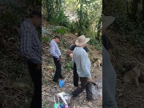 Ojos de Agua en Jujutla Ahuachapan, El salvador
