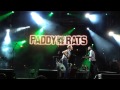 Paddy and the Rats - Rogue 