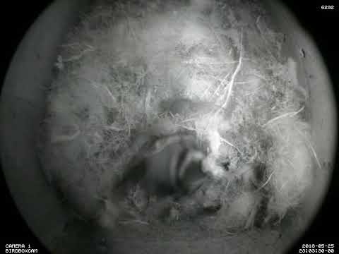 25 May (day 405) 11:03pm