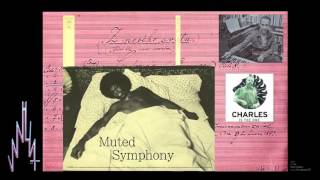 Van Hunt - Muted Symphony
