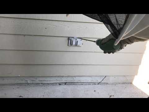 Exterminating Yellow Jackets in Morris Township, NJ