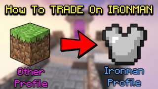 How To TRADE On Ironman (Hypixel Skyblock)